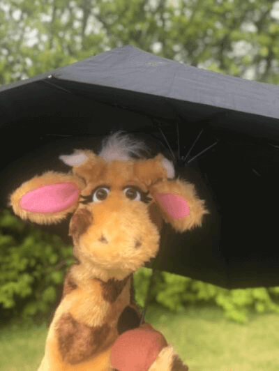 Harold under umbrella