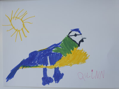 Drawing by child, Quinn, of blue tit, coloured with felt tip pens
