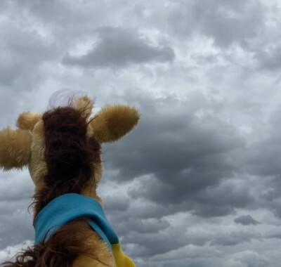 Harold the giraffe gazes at the clouds in the sky.